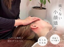 オリナサツキ(OlinaSatsuki)