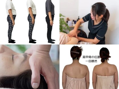 ブルーノ(Bruno)の写真
