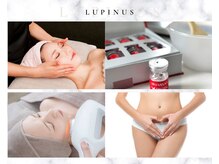 ルピナス 立川店