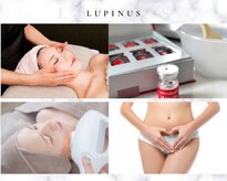 ルピナス 立川店