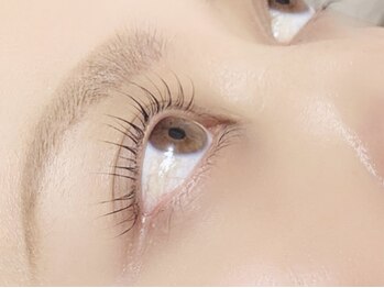 キャリコ(calico)/