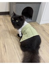 晴々 猫従業員 おこげ
