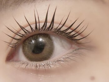 アフューレ(AFULE)/次世代パーマ・ラッシュリフト