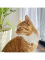 グレースビューティーラウンジ(Grace Beauty Lounge)&nbsp;飼い猫のルイです！10歳になりました＊