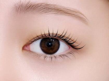 アイアイ(eye eye)の写真