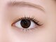 アイアイ(eye eye)の写真