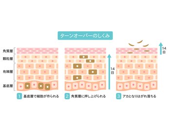 ハリス(HARIS)/古い肌を、きれいな肌へ進化