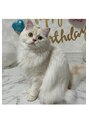 バービーヒルズ 愛猫です!