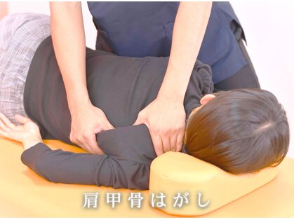 いわくら肩甲骨 骨盤接骨院BTG 一宮千秋の写真