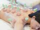 マグノリアの写真