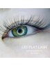 LEDフラットラッシュ上80～100本/60分￥9400→￥8300