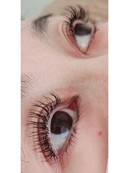 コア(Koa)/フラットラッシュ140本