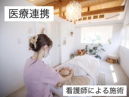 リノアンド(Lino&)の写真