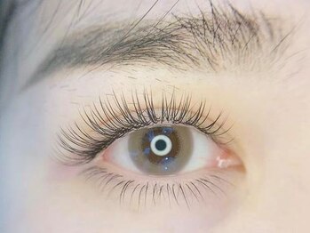 アラーナサロン 上野店(Arana salon)の写真/大好評の【LEDフラットラッシュ】自まつ毛が弱い/いつも早く取れてしまうという方は是非お試しください♪
