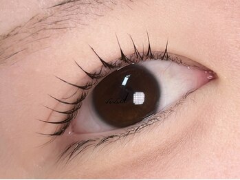 ビビッド(vivid)/【マスカラパーマ】