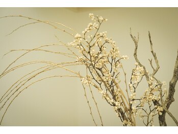 ビコレクション ガレージ(BI:CORRECTION GARAGE)/