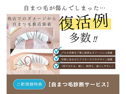 レシェリマ(Lesherima)の写真