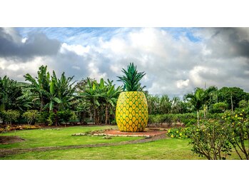 ハワイアンフォレストSpa 福岡天神店/ドール・プランテーション