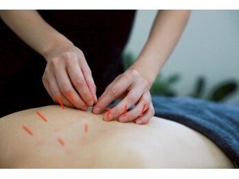 リノ ショウナン(LINO SHONAN)/全身の疲れを一度で取る鍼施術