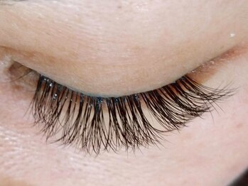 マツゲエクステサロン ミュータ(MYu-Ta)/マツゲエクステ300本