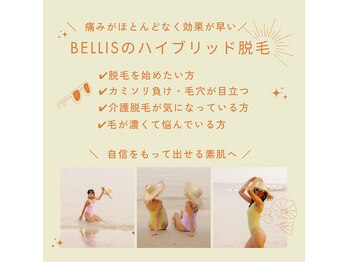 ベリス(BELLIS)