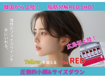 レガート(Legato)の写真