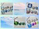 クレッシェレ(crescere)の写真