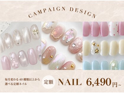 アテナ(ATENA)の写真
