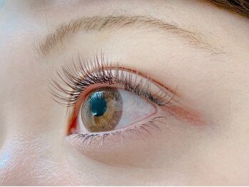 シュシュ(chou chou)/フラットカラー(chouchou吉祥寺)