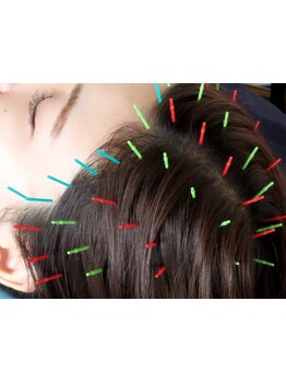 ヘッドスパで癒されたい