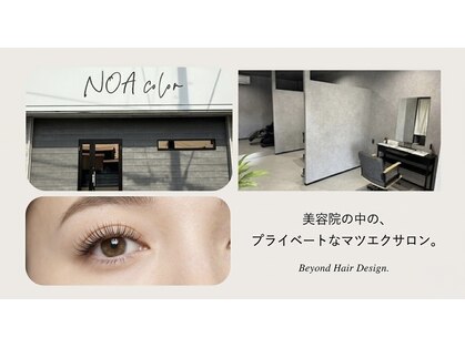 ノアカラー(NOA color)の写真