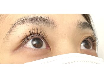 ロータス(Lotus)/LEDエクステ