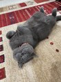 紬肌 我が家のもふもふです、何をしても許されます★笑