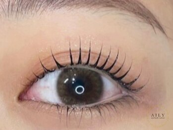 アイリー 今福鶴見(AILY)/ 今福鶴見/アイブロウ/眉毛/HBL