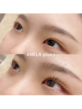 アネラプラス(ANELA Plus+)/まつ毛パーマ