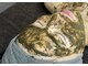 ウルティモ(ultimo)の写真