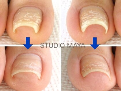 スタジオ マヤ(STUDIO MAYA)の写真