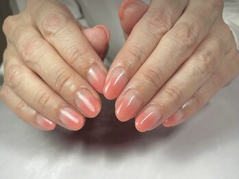 バーガンディ(BURGUNDY)/カラーグラデーション