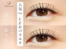 モカラッシュ(MoKa Lash)