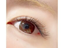 エルモ(elmo)/フラットラッシュ120本