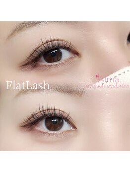 アルマ(Alma.)/フラットラッシュ120本