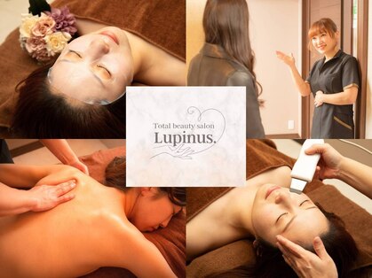 ルピナス(Lupinus.)の写真