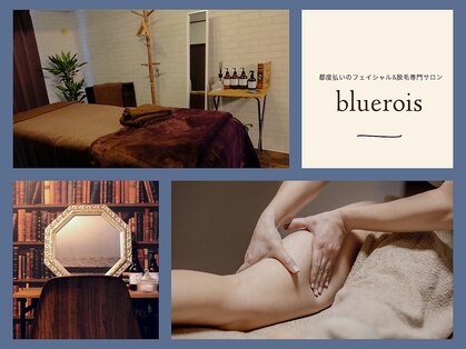 ブルーロワーズ(bluerois)の写真