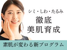 プレジール(plaisir)