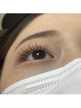 ガガヒラノ(GAGAHIRANO)/フラットラッシュ80本