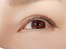 フラワー(FLOWER)/サクラコーラル　ダークブラウン