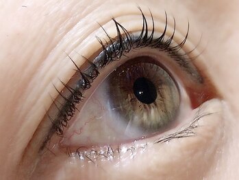 カラン 焼津店(CALIN)/ラスティングカール