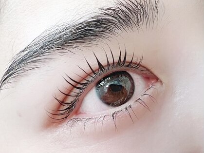 アンレーブ(an'reve)の写真