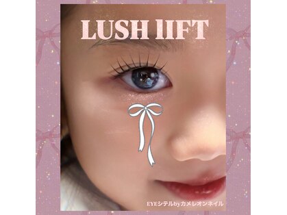 EYEシテル バイ カメレオンネイルの写真