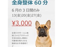 リフレッシュ(Re;フレッシュ)